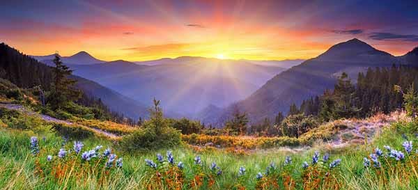  the  landscape of Messiah's 1000 year reign