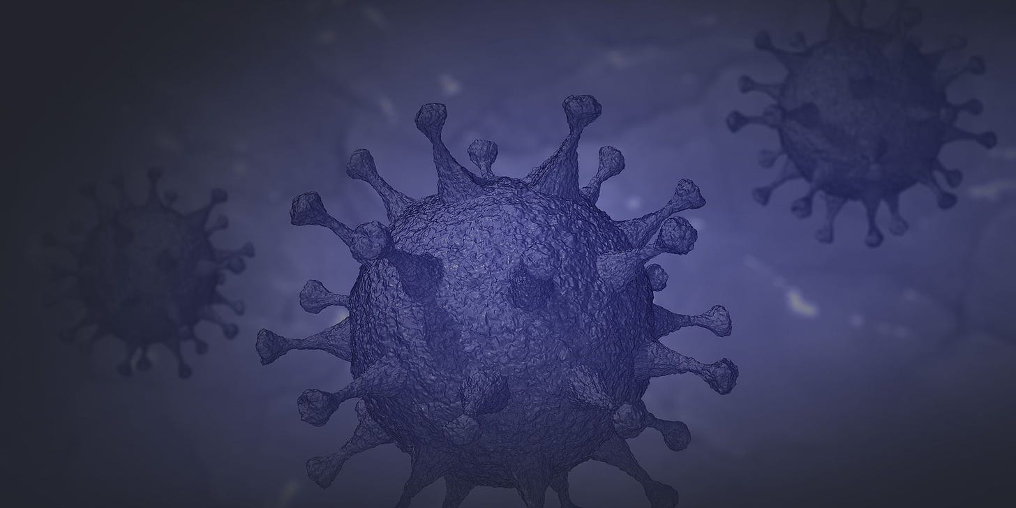 冠状病毒101：专注于分子病毒学- 创新基因组学研究所(IGI)