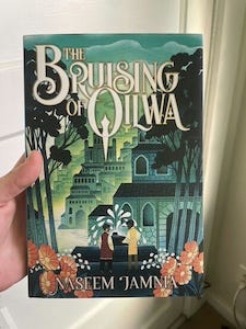 a hand holding a copy of The Bruising of Qilwa
