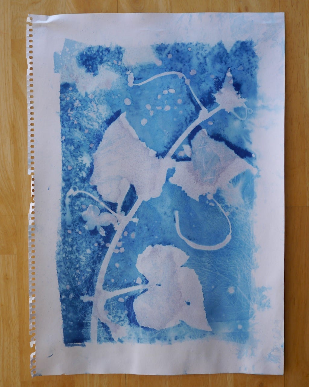 National pickler cucumber vine, fennel fronds, black currant leaves, salt, sunlight, cyanotype. National pickler cucumber vine, fennel fronds, black currant leaves, salt, sunlight, cyanotype.
