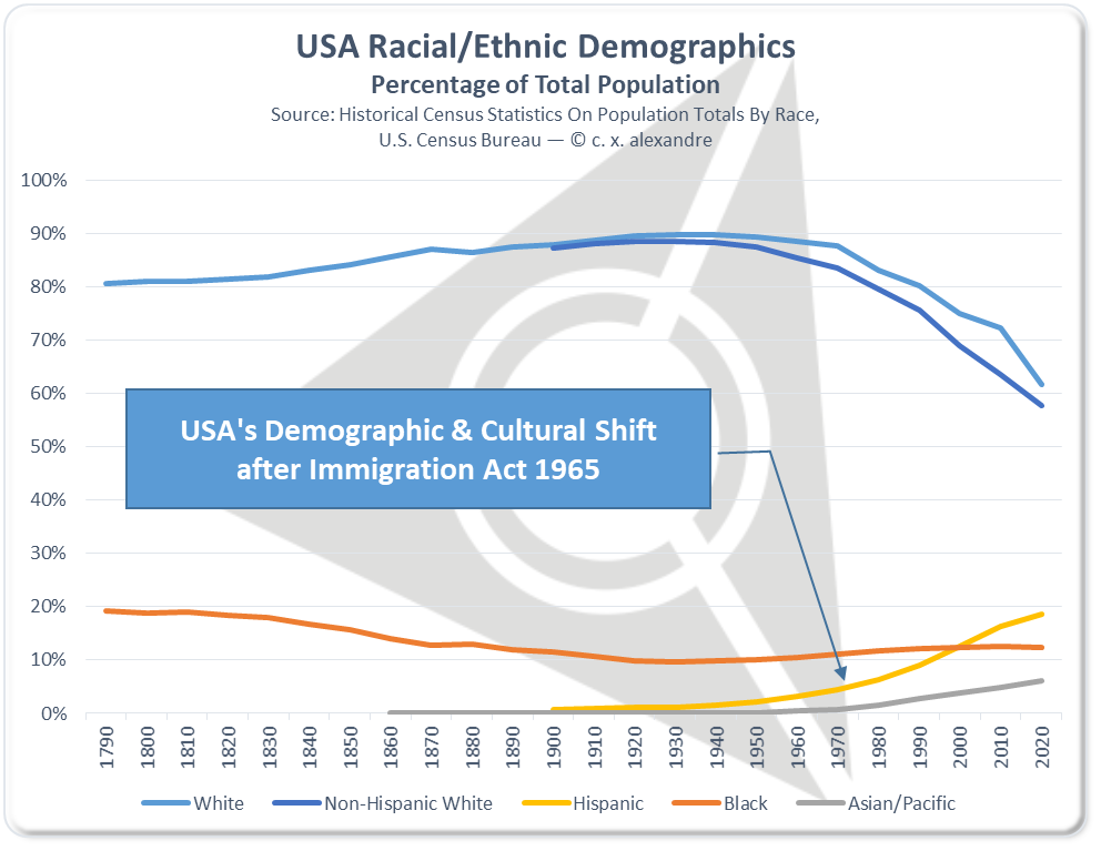 This image has an empty alt attribute; its file name is usademographics-2020.png
