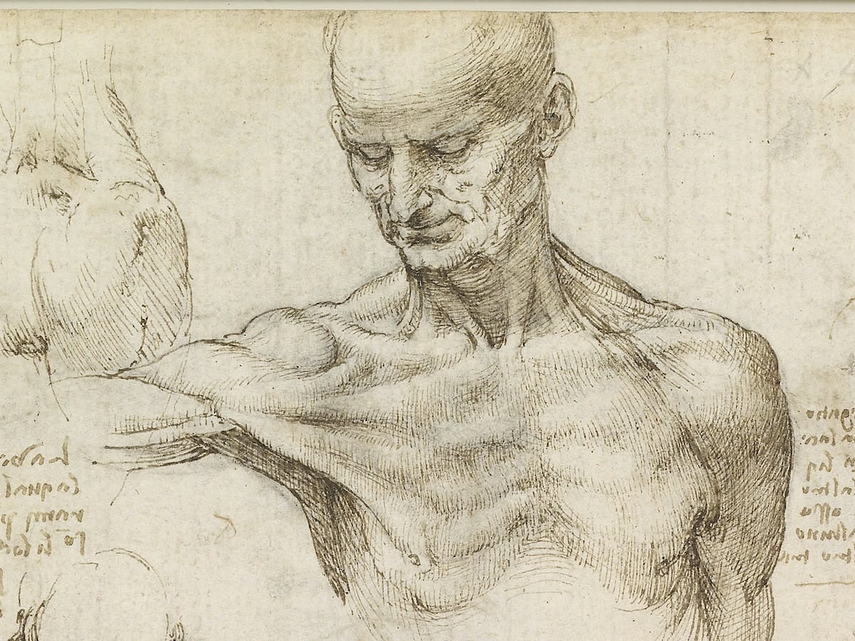 Leonardo da Vinci revisited: how a 15th century artist dissected the human  machine