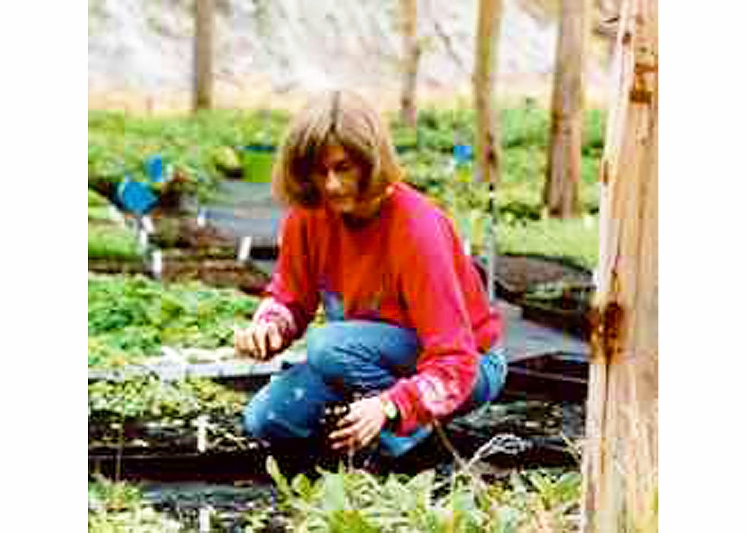 Woman crouches on ground amid many flats of plants, dirt on her fingers