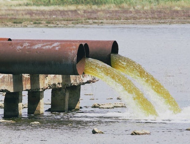 Two pipes push two streams of yellow water into a lake.