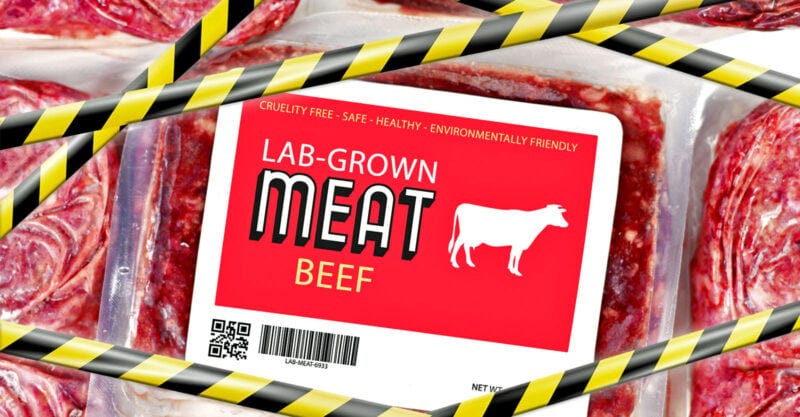 lab grown synthetic food dangerous feature