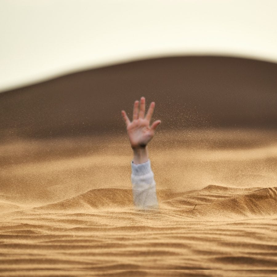 Where's the Quicksand? – Dakota Student
