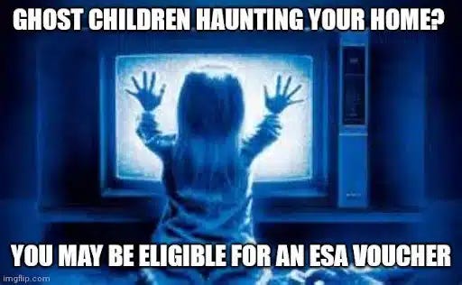 child from the movie Poltergeist sitting in front of static TV screen, with caption "Ghost children haunting your home? You may be eligible for an ESA voucher"