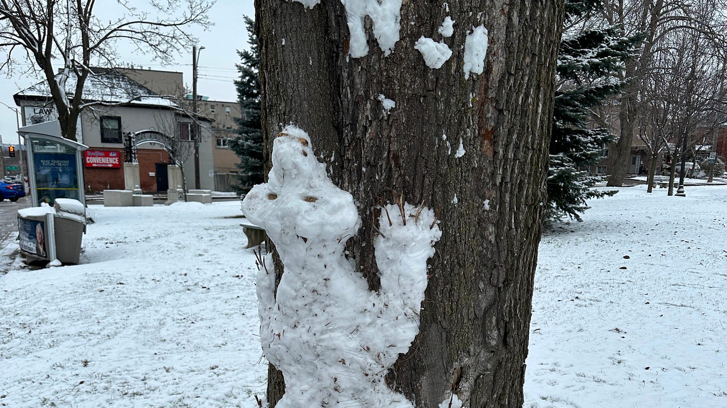 Bear made of snow on a tree in Victoria Park