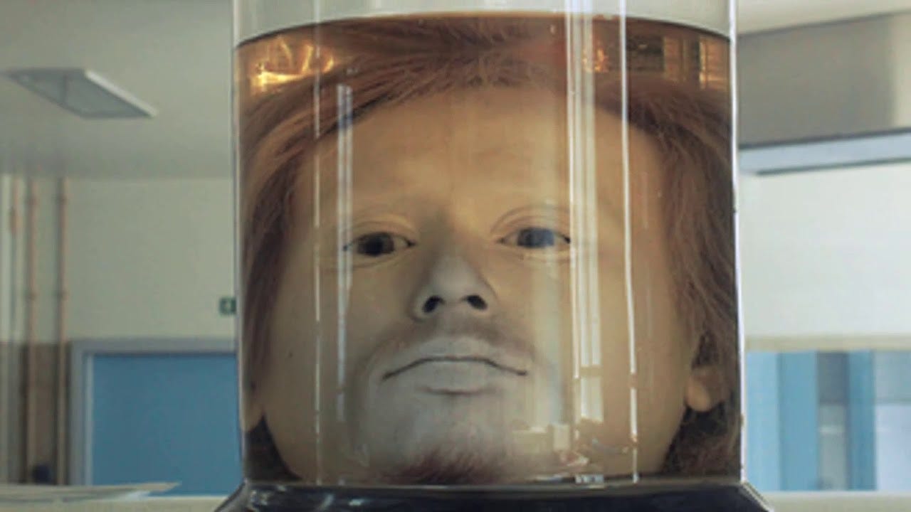 Diogo Alves’ head preserved in a jar in formaldehyde solution, in the University of Lisbon