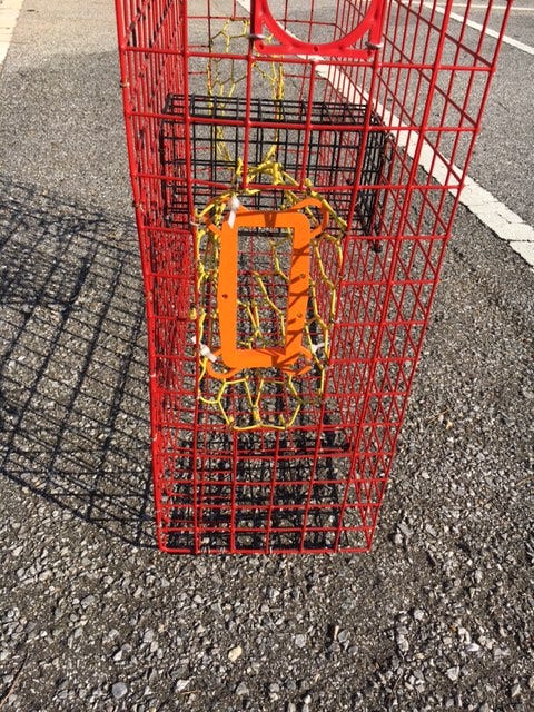 A bycatch reduction device insalled in a recreational crab trap