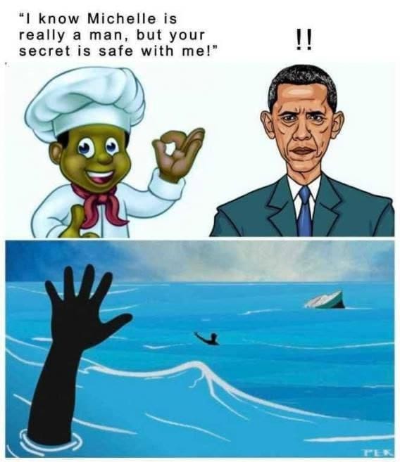 The "Michelle Obama is a man" conspiracy is one of my favorite conspiracy theories.
#memes #humor #funny #obama #trans