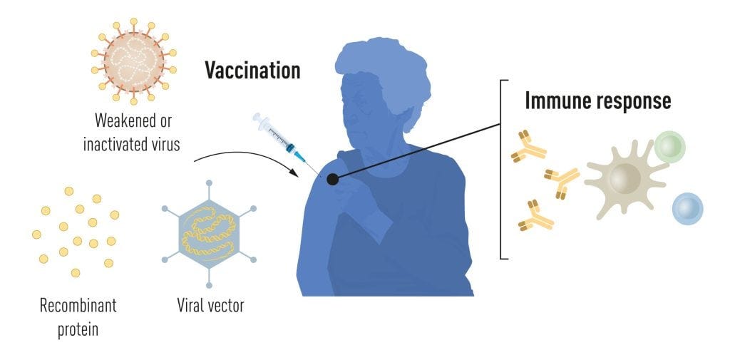Illustration of methods for vaccine production before the COVID-19 pandemic.
