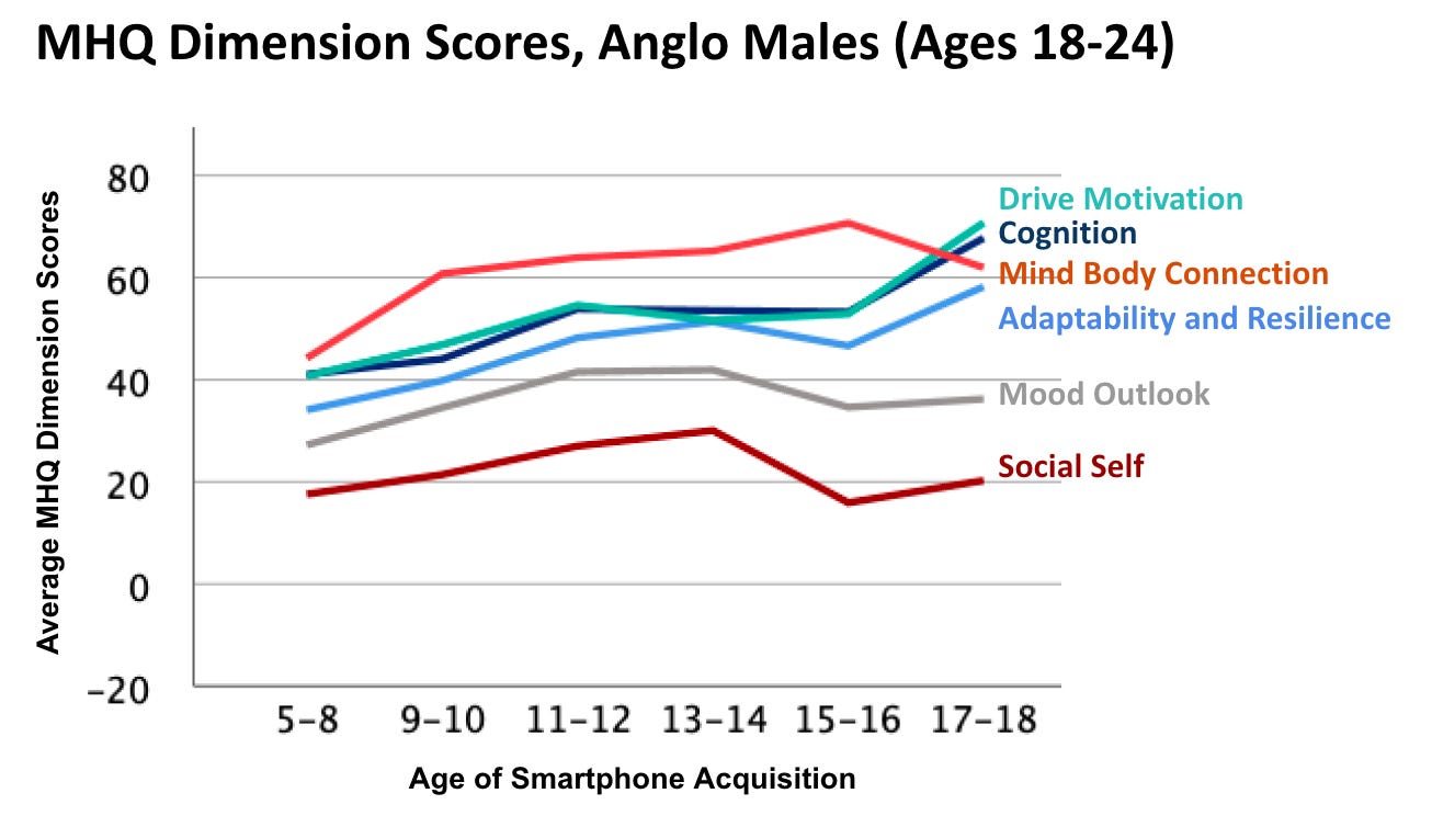 MHQ Dimension Scores, Anglo Males