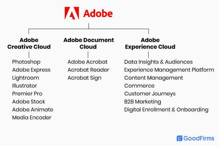 Popular Adobe Products 