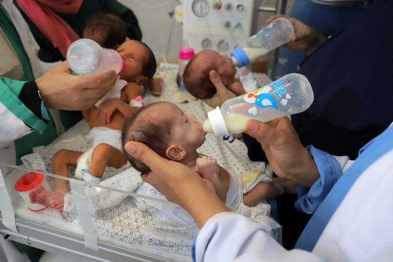 Several premature babies are fed milk from bottles. 