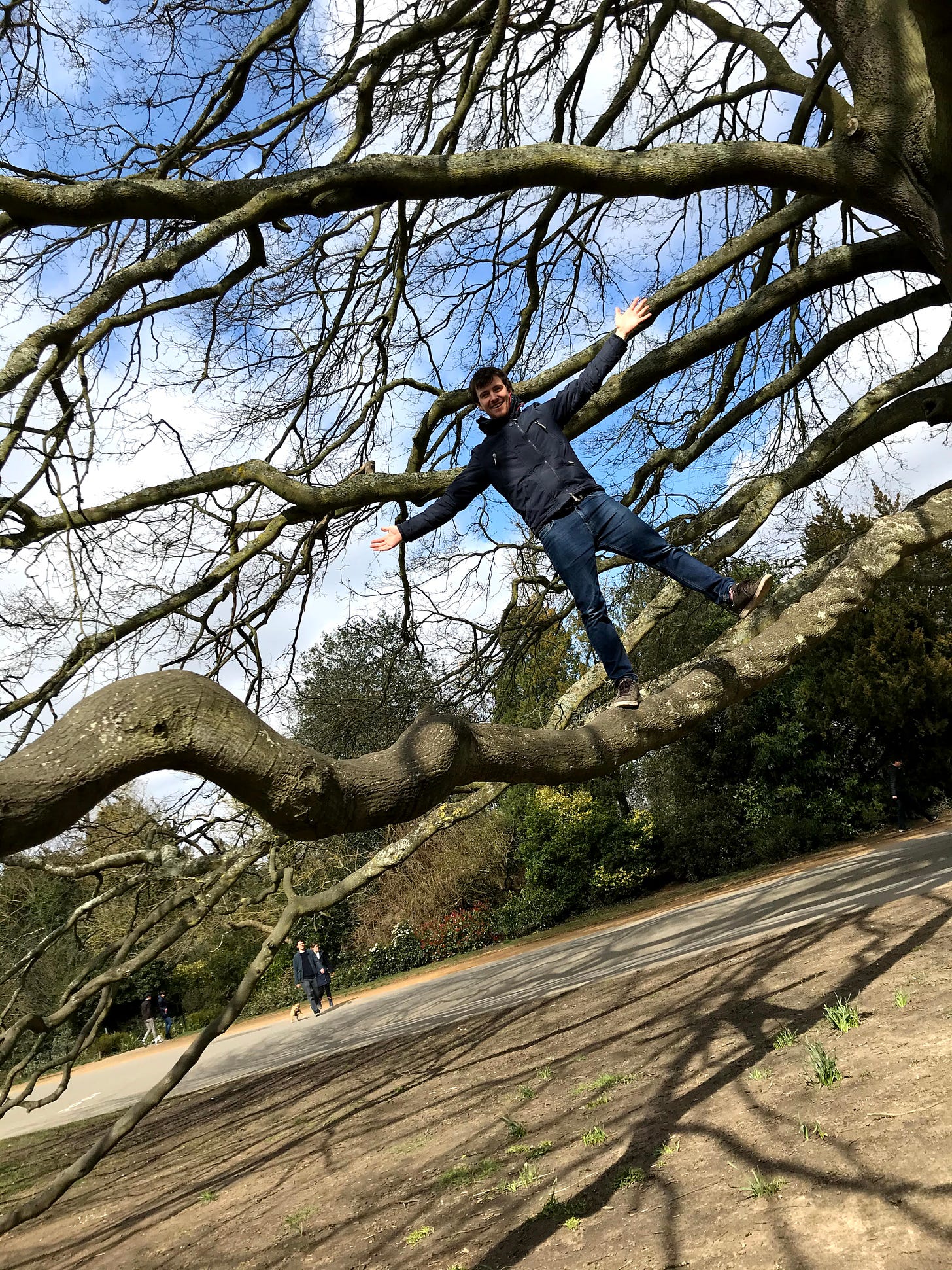 Me standing on a branch of a massive turkey oak