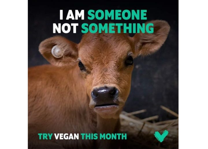 New year, new you—try Veganuary! Discover delicious plant-based meals, save animals, and help the planet all in one go. It’s easier than ever to make a difference. Ready to join the movement? 🌱✨