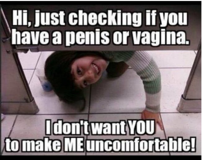 Person peeking under restroom stall door with caption "Hi just checking if you have a penis or a vagina. I don't want YOU to make ME uncomfortable!"