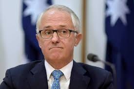 Image result for malcolm turnbull