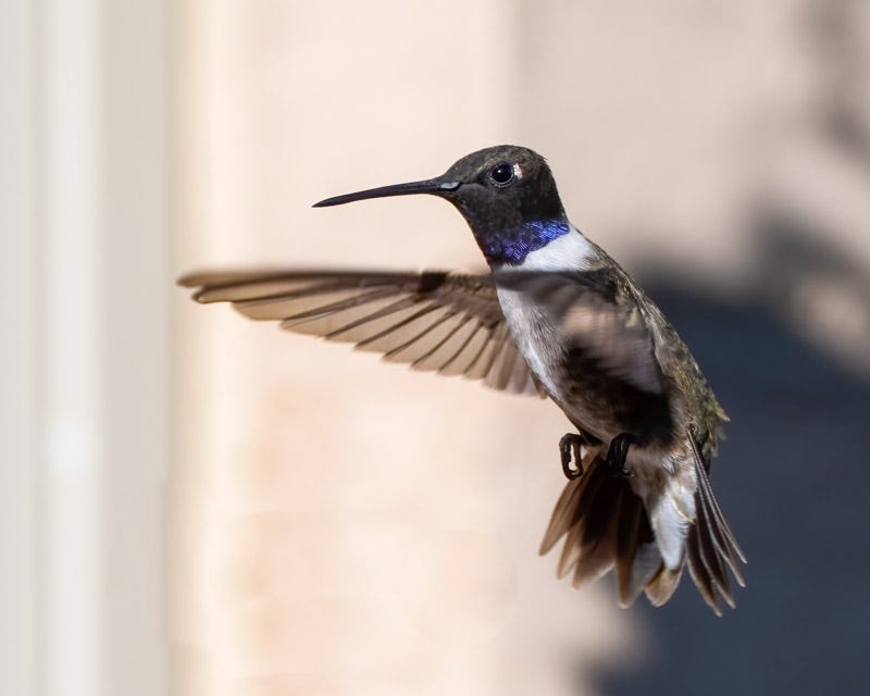 20240908-mby-83-Edit.jpg