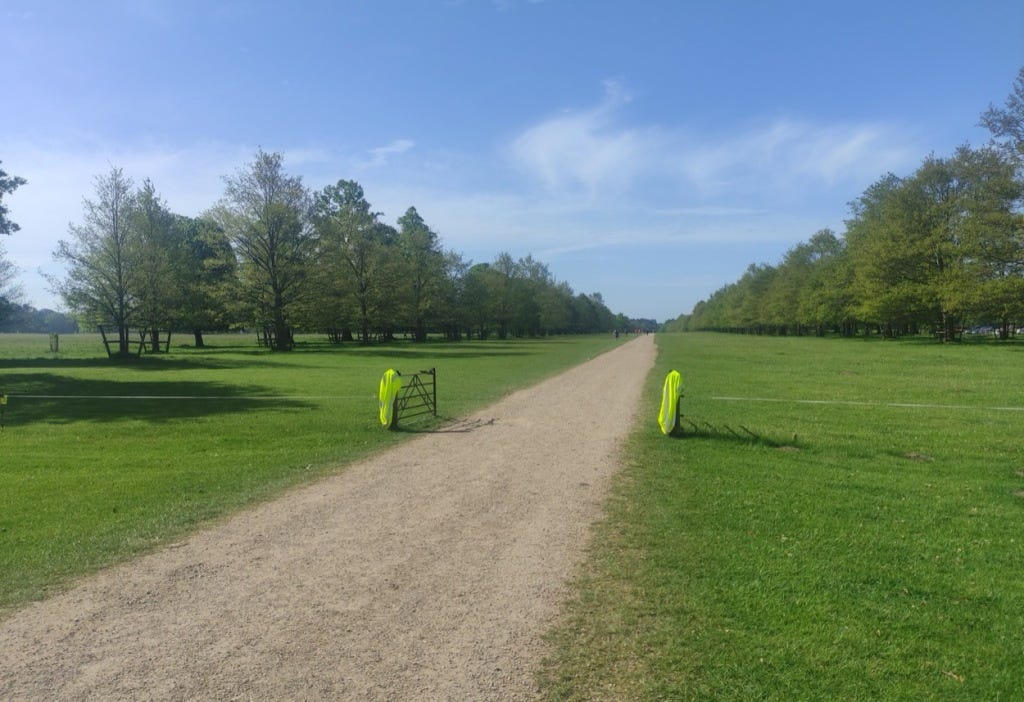 Hi-viz vests mark the posts on an open gate, with a wide path heading through them.