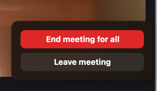 Zoom buttons that say "End meeting for all" and "Leave meeting"