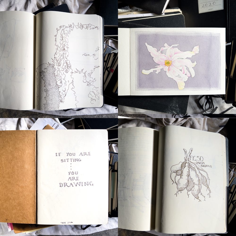 sketchbooks by Helen Reynolds