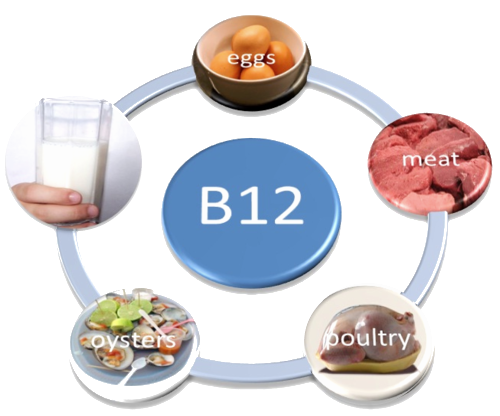 Vitamin B12 sources