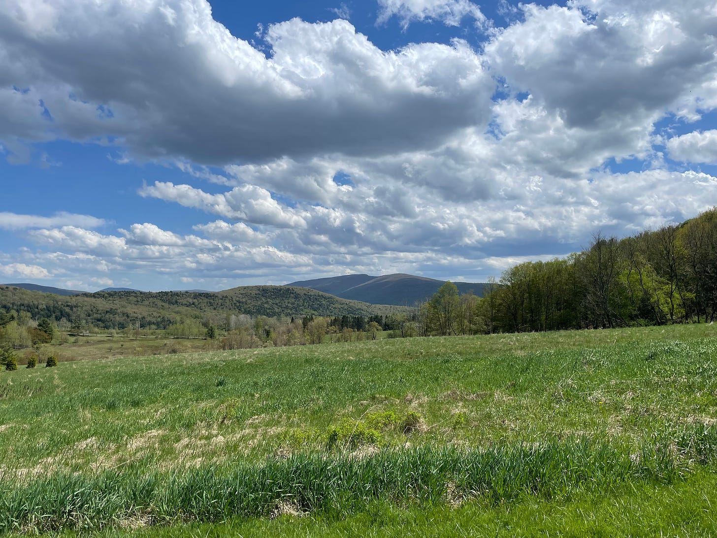 View of a verdant meadow and hills and a distant mountain on a cloud blue sky day