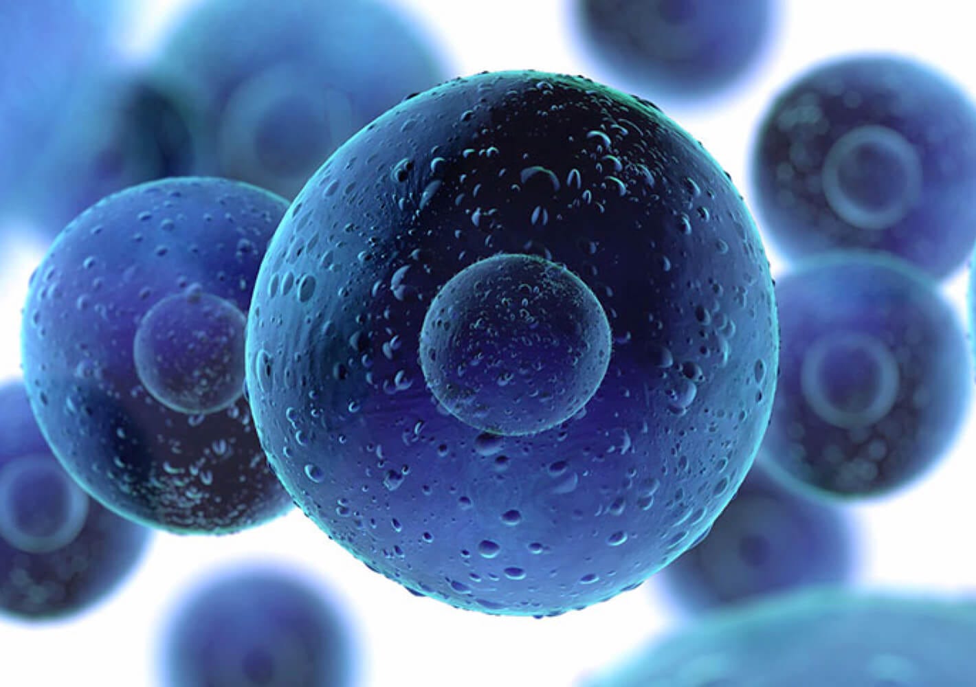 What are the Three Types of Stem Cells? | Stem Cell Doctors of Beverly Hills