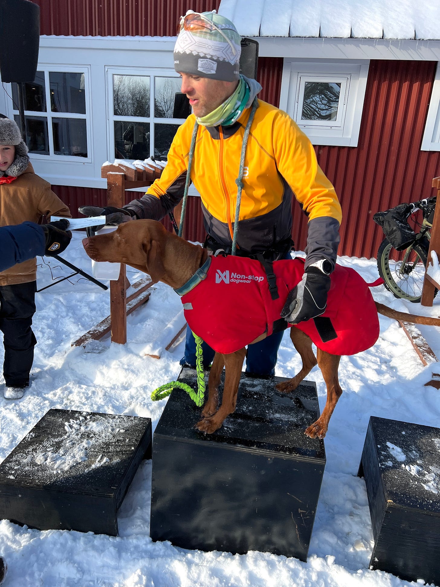 Leif the vizsla on a skijoring winner’s podium 