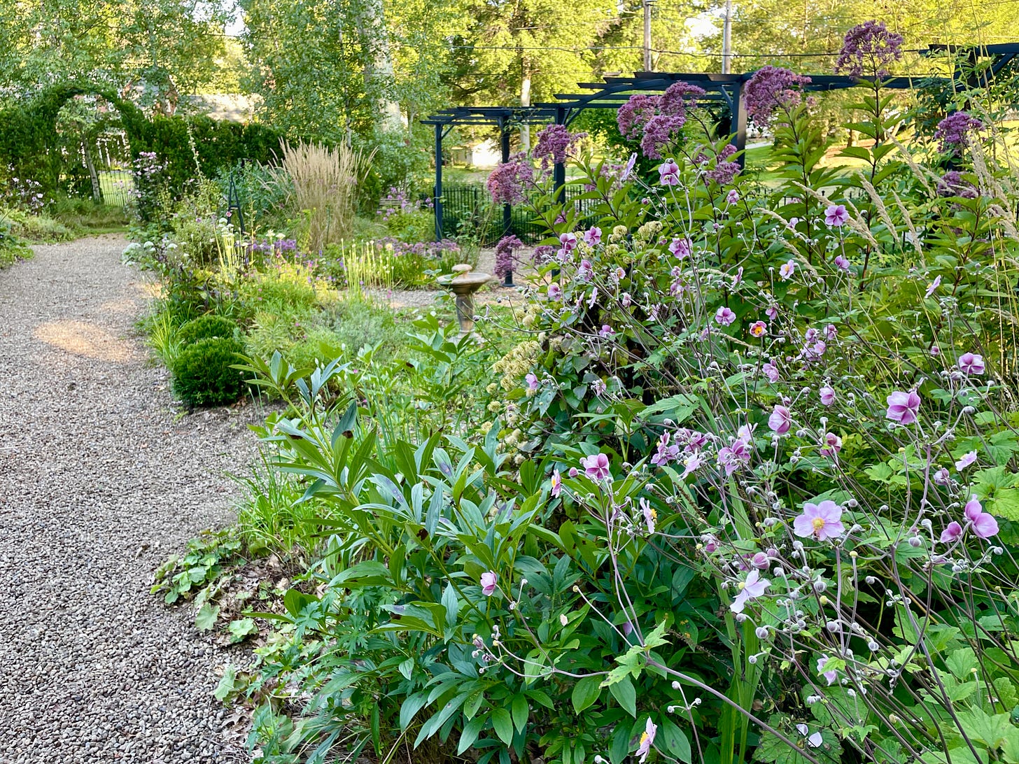 To the right of the main path, looking towards the yew arch and the Pergola Walk on the downhill side. 