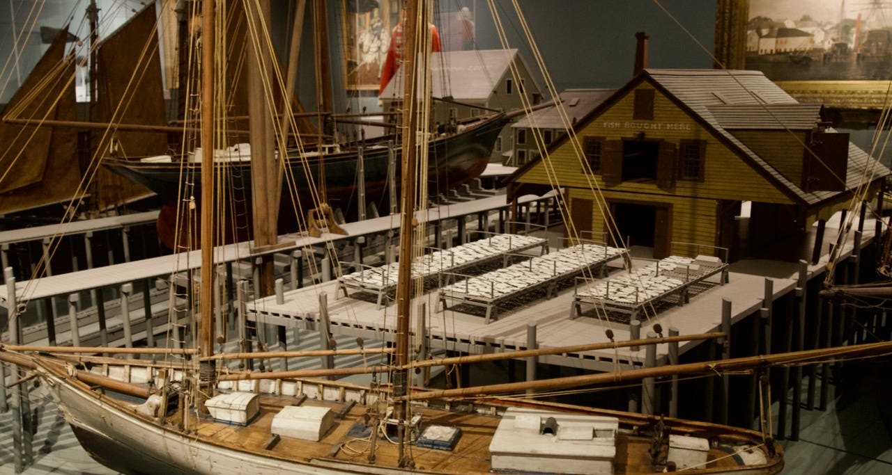 A model of a boat in a museum

Description automatically generated
