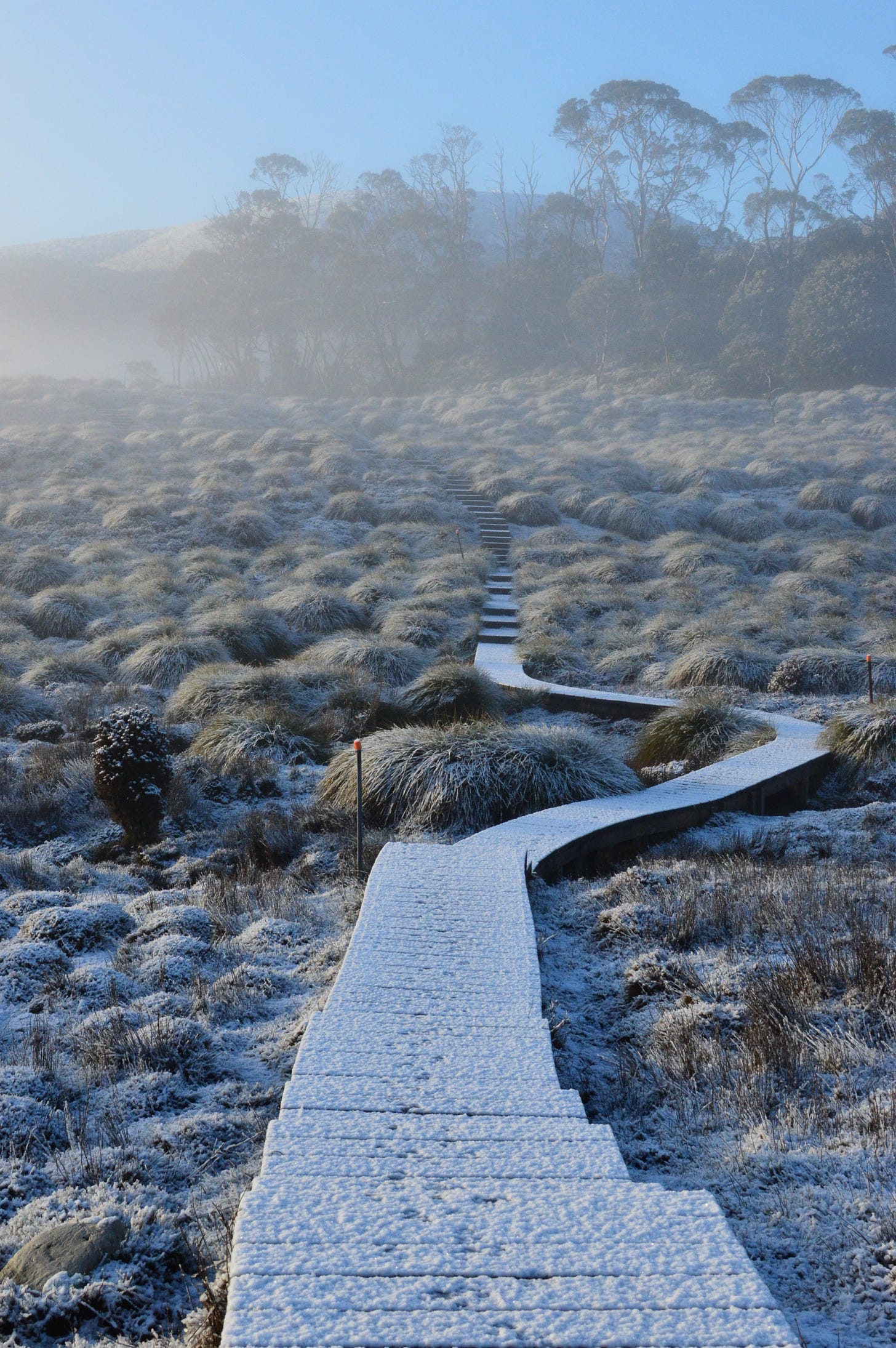 A snowy boardwalk at dawn in Cradle Mountain, Tasmania