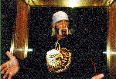 Hulk Hogan circa 2000.