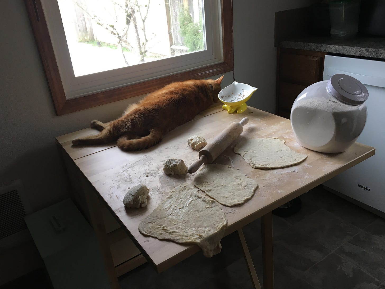 Orange cat on a table with flat breads being rolled out