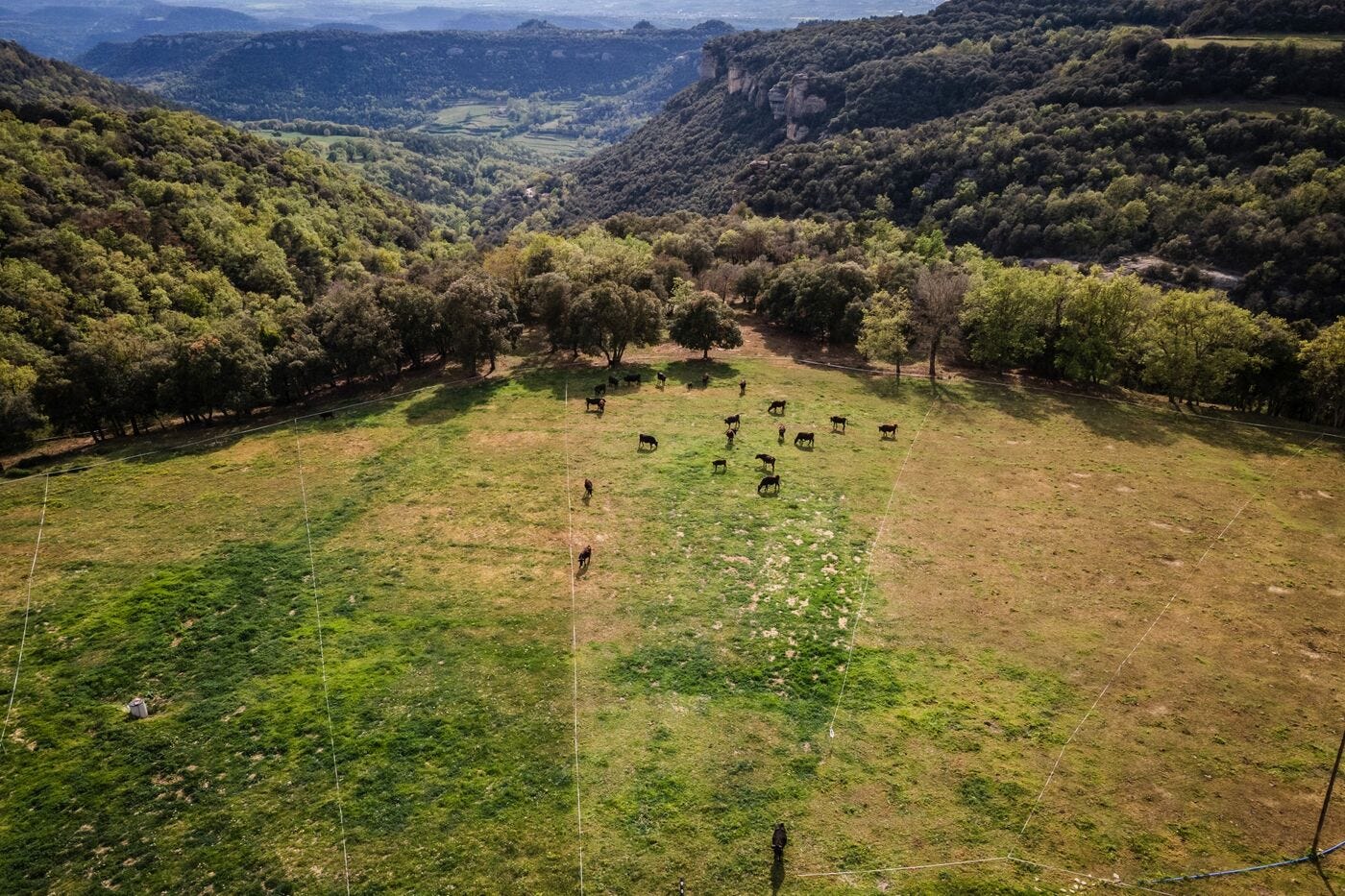 relates to Extreme Drought Is Wreaking Havoc on Daily Life in Spain