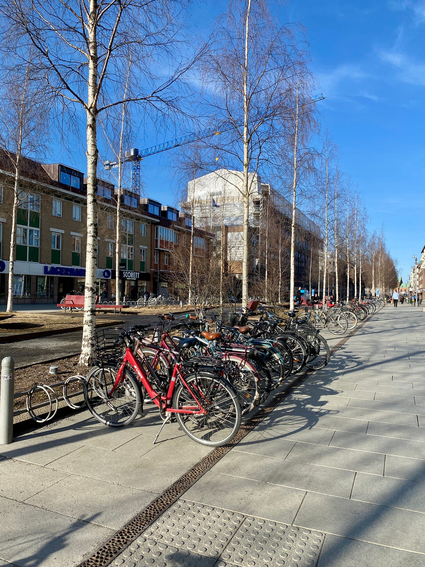 City street with long row of bike parking in plaza
