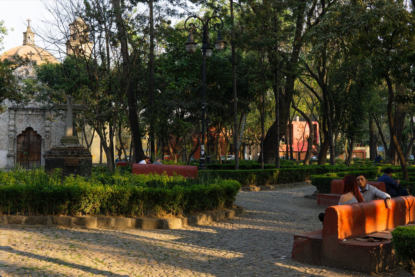 Park in Coyoacán