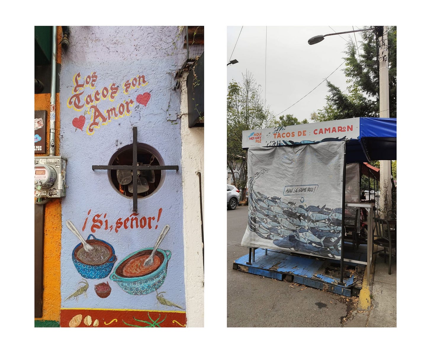 Due rótulos a tema gastronomico: la scritta in rosso e giallo “Los tacos son amor. Sí, señor!” sul muro bianco di un ristorante; un chiosco di tacos specializzato in tacos de camarón e di pesce con l’illustrazione di un banco di pesci che dice “Aquí se come rico!" 