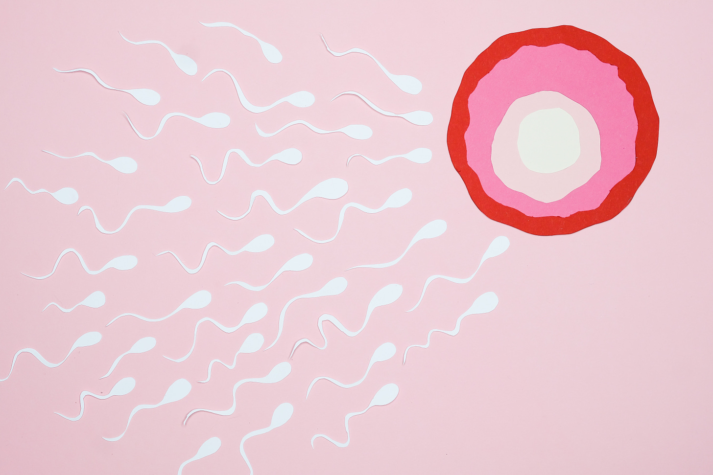 an image (cartoon or painting) of several dozen sperm converging on an ovum/egg
