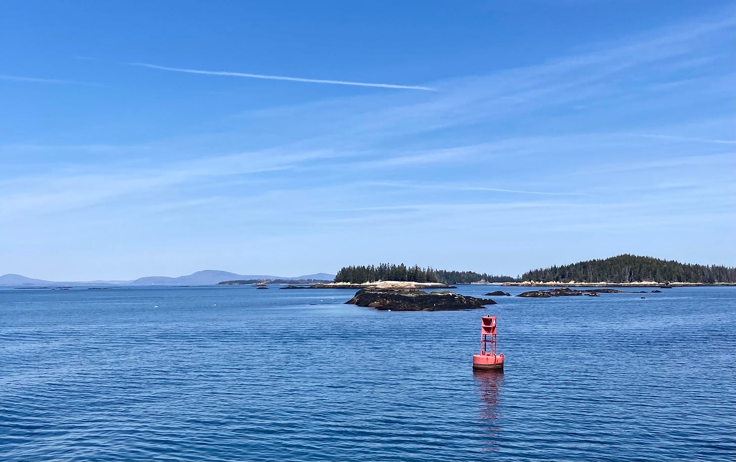 A red buoy sits on the water. There are small pine-covered islands behind it, and far in the distance, blue hills.