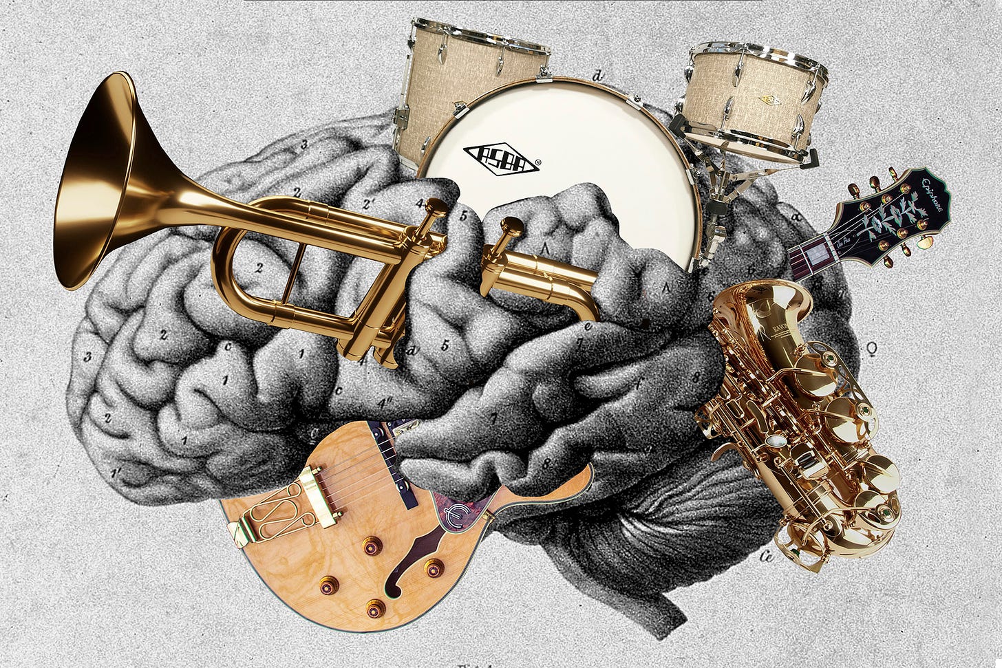 A brain with various musical instruments inside it.