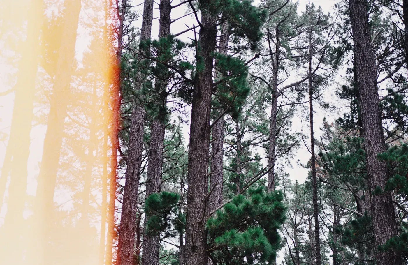 An imperfect photographer seeking perfection in an imperfect world