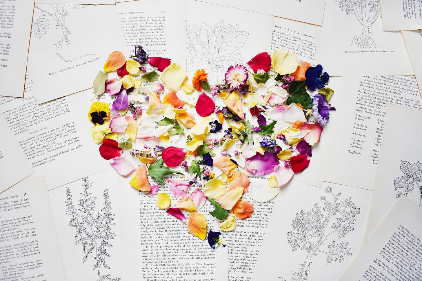 heart shape made of flower petals on top of book pages about flowers and plants