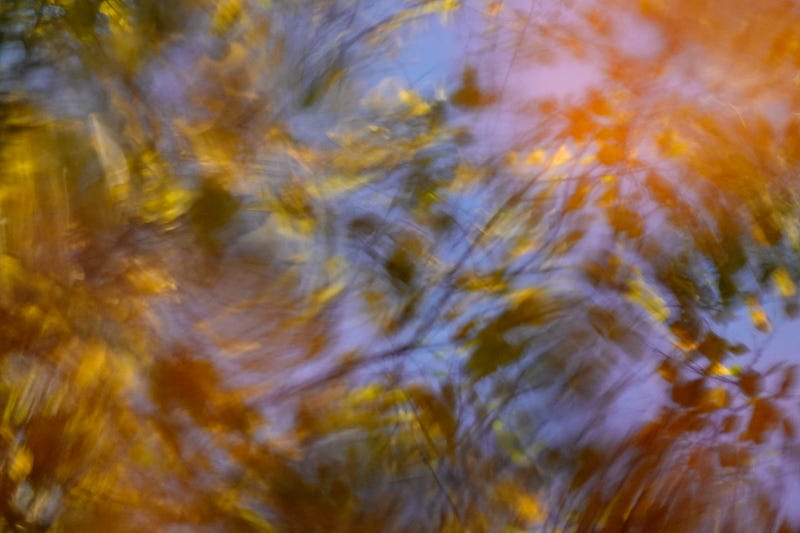 Golden autumn leaves glow against a blue sky reflected in moving water.