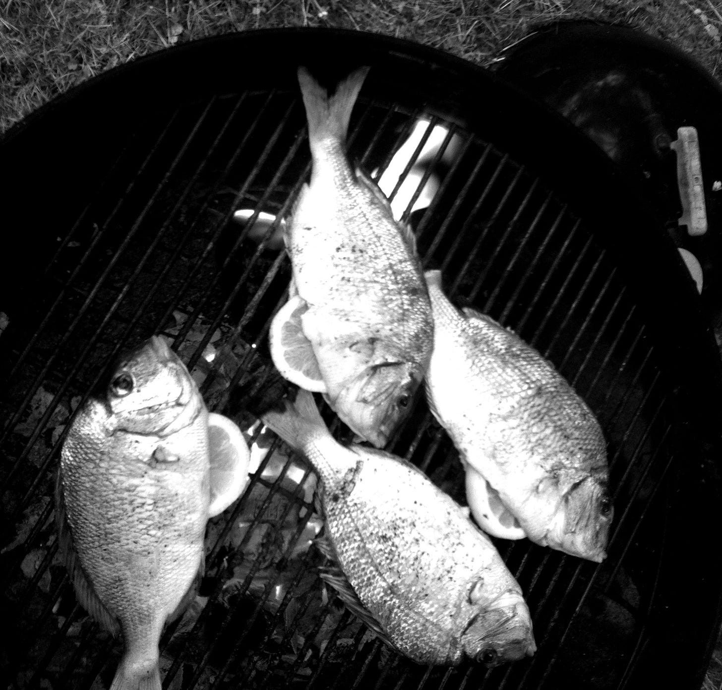 Fish cooking on a charcoal grill.