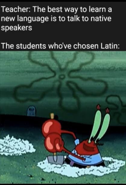 Learning A Language Makes You Employable | Mr. Krabs | Know Your Meme