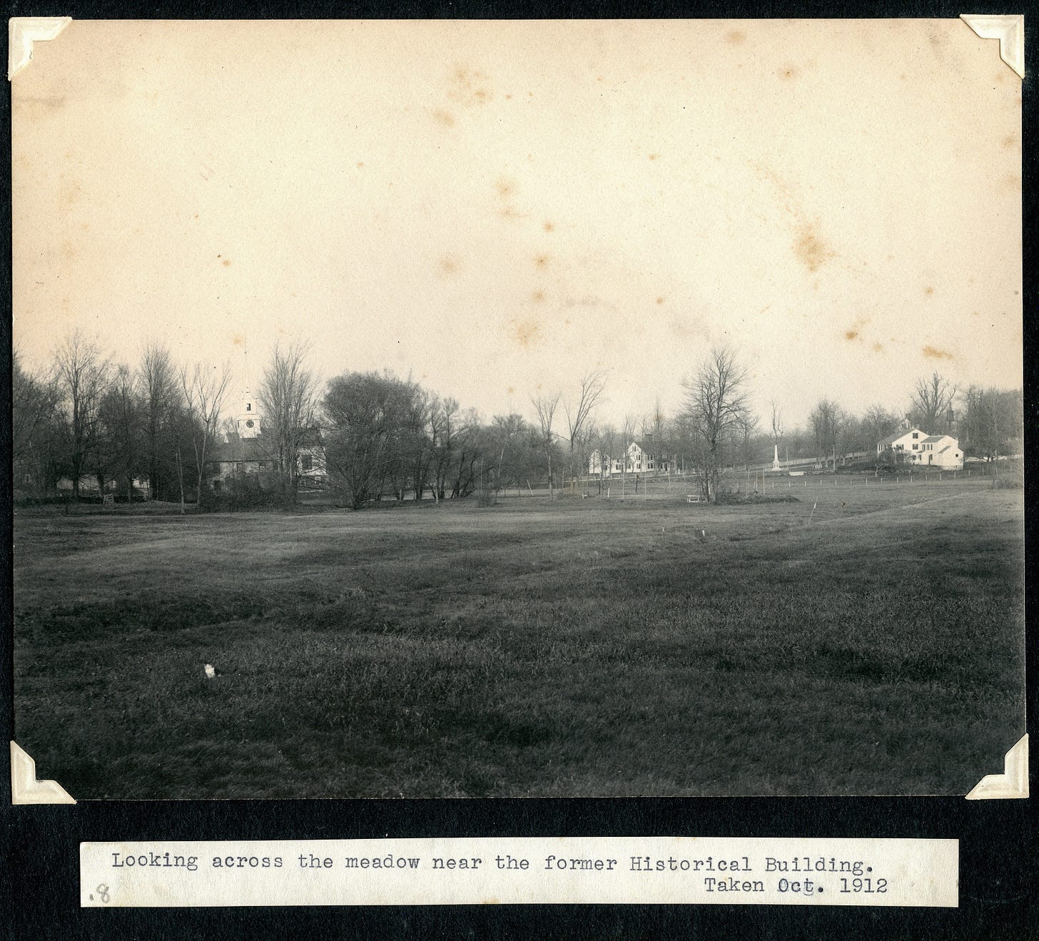 View of meadow