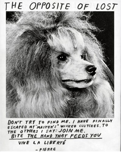 fake flier by artist nathaniel russell shows a black and white photo of a poodle’s face surrounded by the hand-written message “THE OPPOSITE OF LOST / DON’T TRY TO FIND ME. I HAVE FINALLY ESCAPED MY “MASTERS” WICKED CLUTCHES. TO THE OTHERS I SAY: JOIN ME. BITE THE HAND THAT FEEDS YOU / VIVE LA LIBERTE / PIERRE”